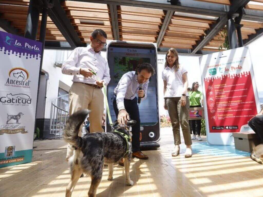 Perros para adoptar en Medellín