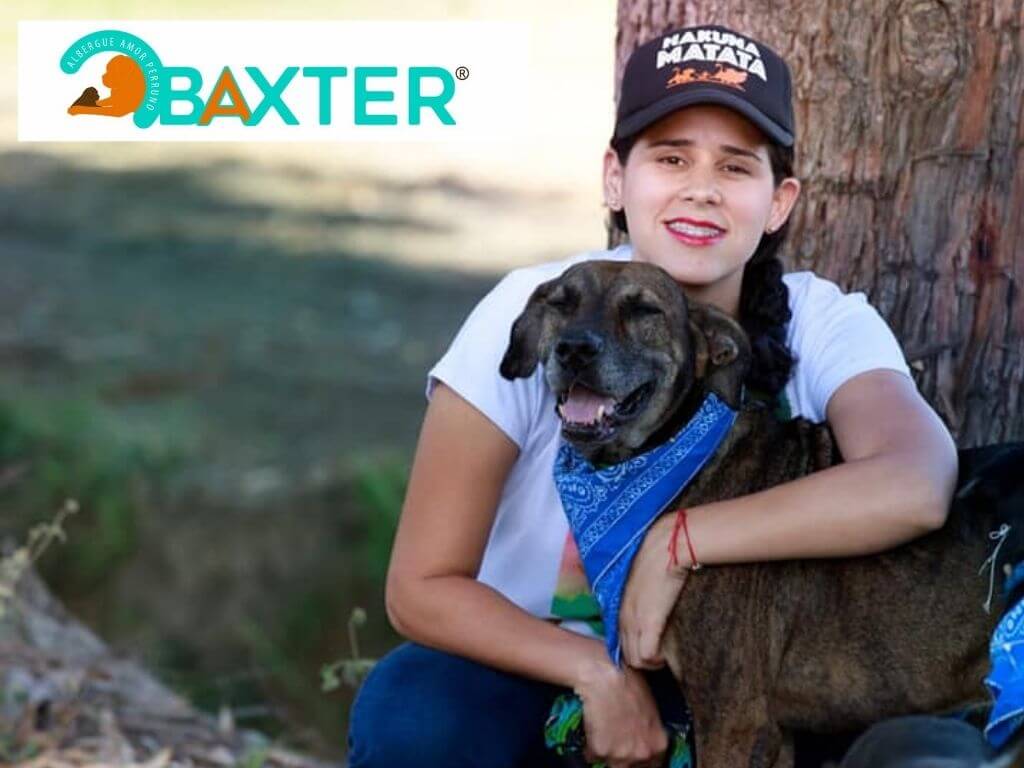 Baxter Amor Perruno
